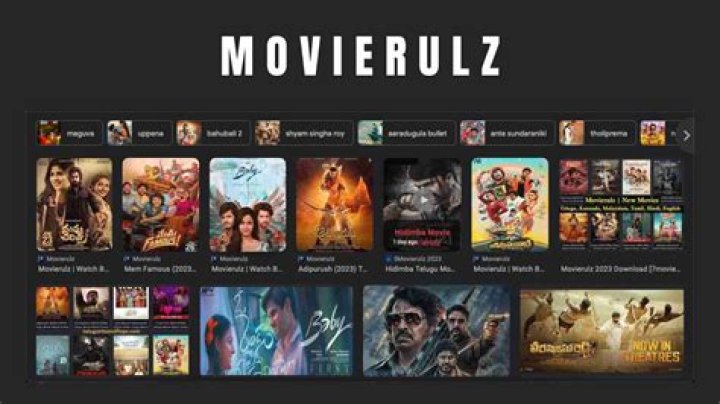 A Comprehensive Guide to Understanding Movierulz 2024 and Its Implications