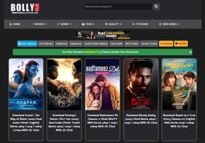 Bollyflix.waves: Your Ultimate Guide to Bollywood Streaming
