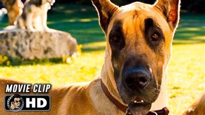 Exploring the Life and Adventures of Marmaduke Grylls