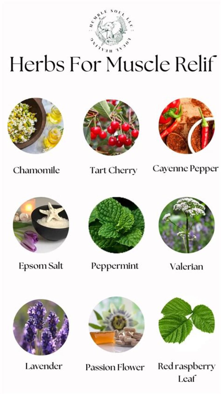 Herbs for Muscle Gain: Unlocking the Natural Path to Building Strength