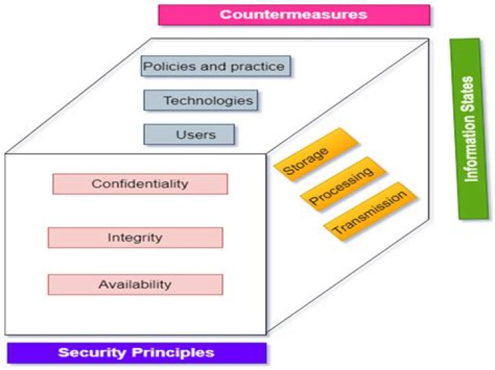 Is GoreCenter Safe? A Comprehensive Analysis of Online Safety and Security