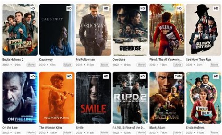 Ultimate Guide to Moviesflix Movies: Your Go-To Resource for Streaming and Downloading Movies