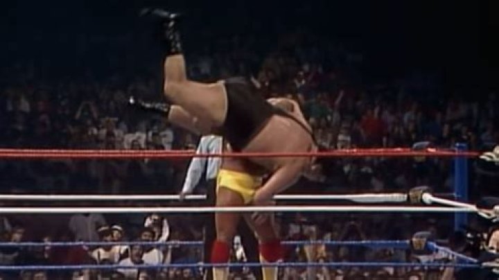 Understanding Hulk Hogan's Net Worth: A Deep Dive into the Life and Wealth of a Wrestling Icon